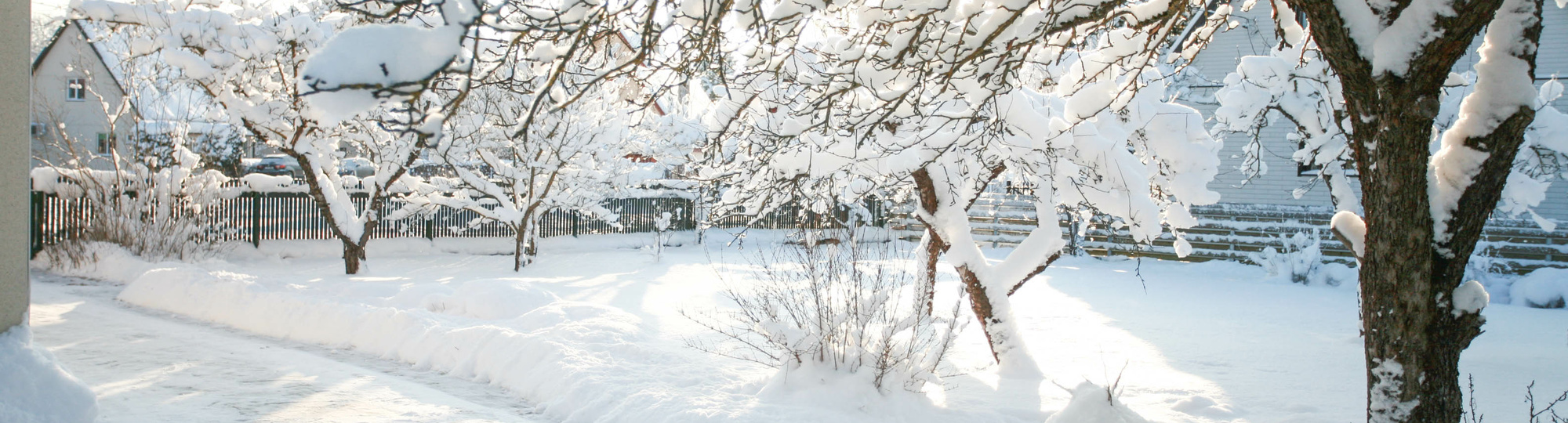 Garten mit Schnee an einem kalten, sonnigen Wintertag