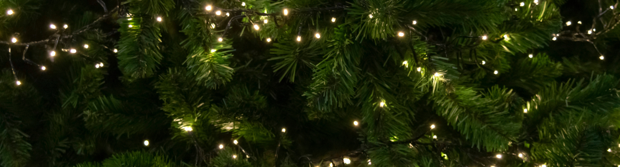Dunkler Weihnachtsbaum mit funkelnden Lichtern, stimmungsvolle Weihnachtsnacht